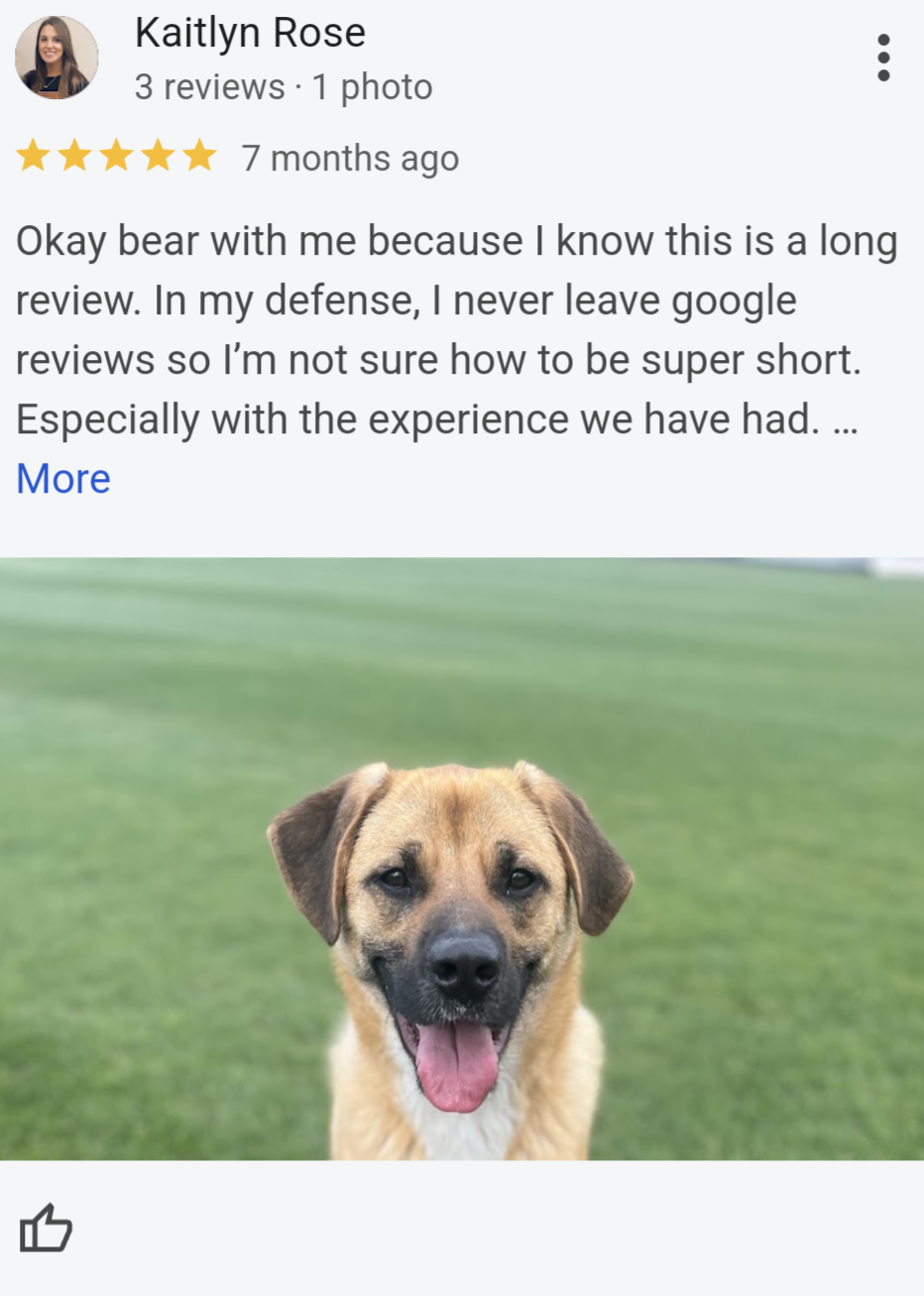 Dog Training Review